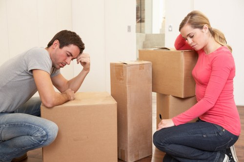 Organised storage boxes and furniture prepared for long-term storage in Ruislip
