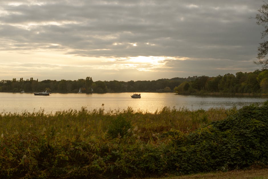 A scenic view of Ruislip Lido during late afternoon or early evening, featuring a calm body of water with three small boats floating near the shore. The foreground includes tall grasses and shrubbery 